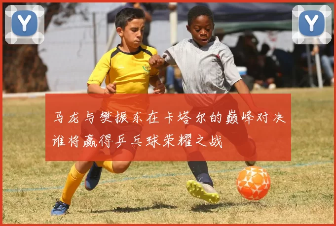 马龙与樊振东在卡塔尔的巅峰对决谁将赢得乒乓球荣耀之战